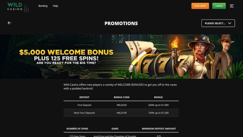 Why the Bonus Matters More Than the Flashy Logo, ripper casino bonus Why the Bonus Matters More Than the Flashy Logo, ripper casino bonus